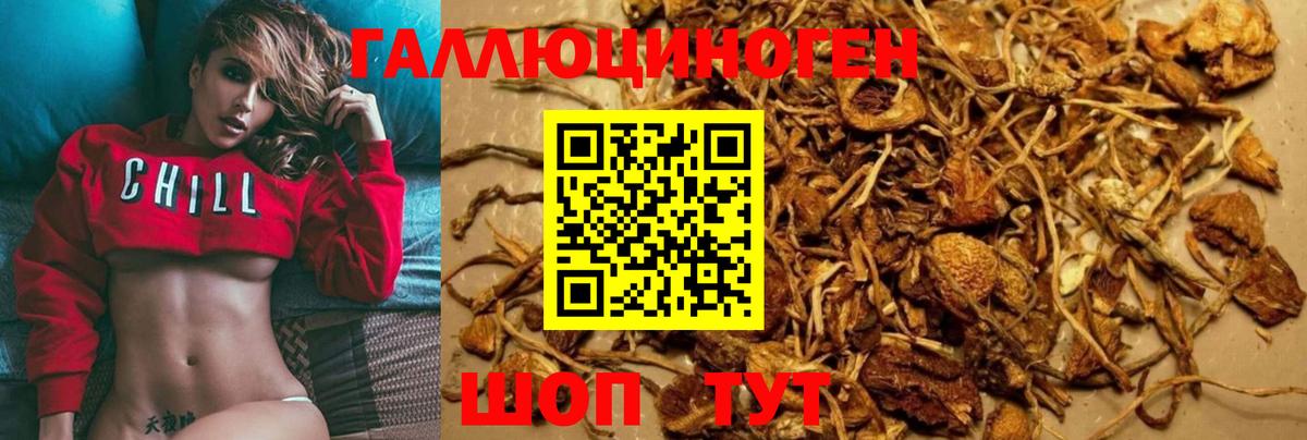 Псилоцибиновые грибы мухоморы  Галлюциногенные грибы Psilocybe  Вход с VPN  Гуково 